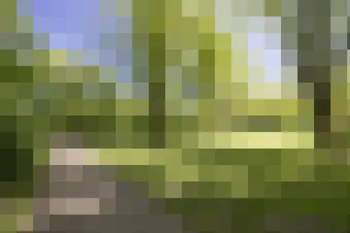 Nachtwachtlaan 151 Amsterdam thumbnail 33