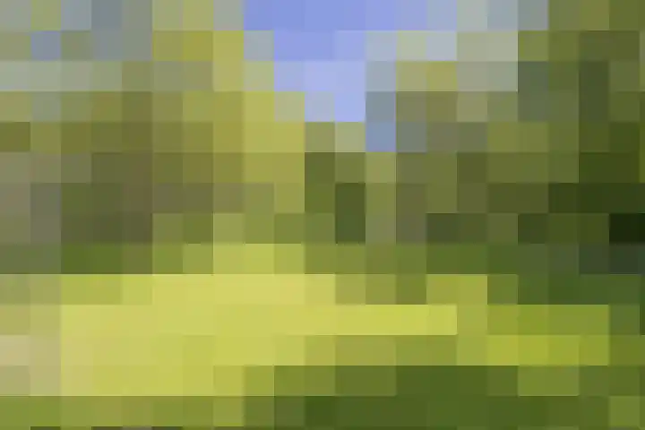 Nachtwachtlaan 151 Amsterdam thumbnail 34