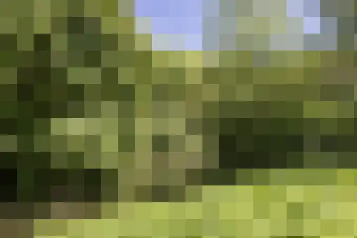 Nachtwachtlaan 151 Amsterdam thumbnail 35