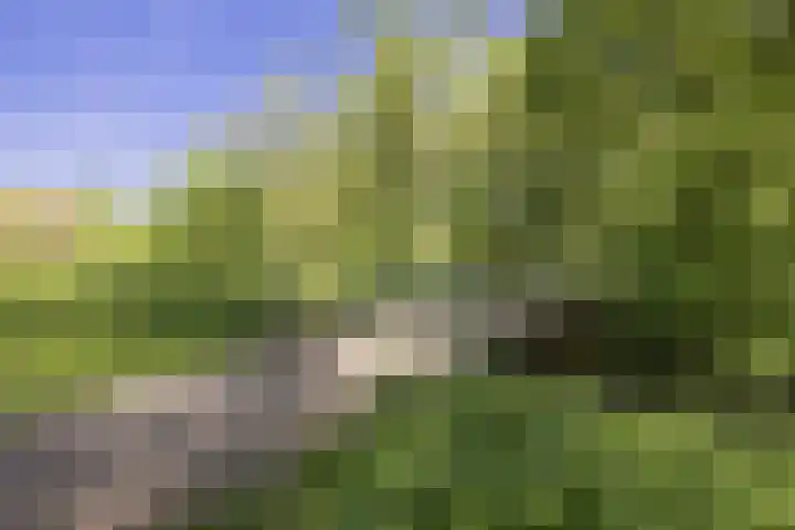 Nachtwachtlaan 151 Amsterdam thumbnail 36