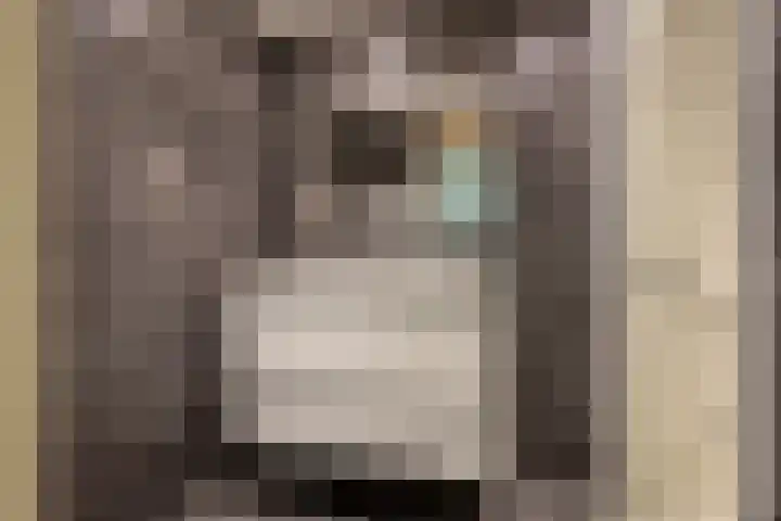 Nachtwachtlaan 151 Amsterdam thumbnail 5