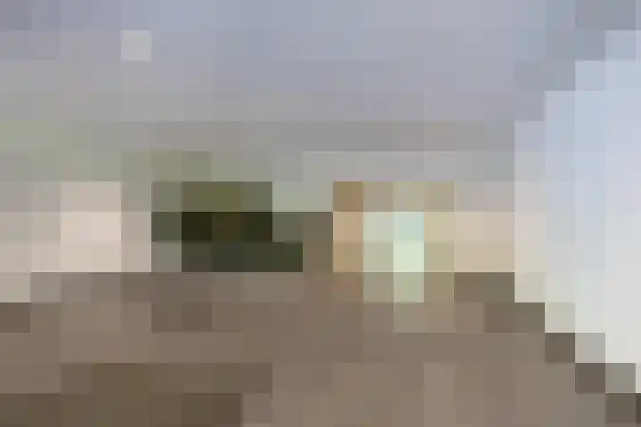 Nachtwachtlaan 151 Amsterdam thumbnail 9