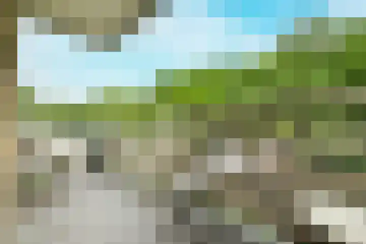 Nachtwachtlaan 156 Amsterdam thumbnail 13