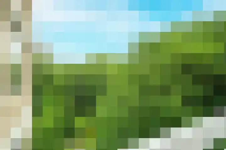 Nachtwachtlaan 156 Amsterdam thumbnail 14