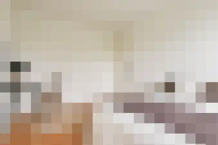Nachtwachtlaan 156 Amsterdam thumbnail 21