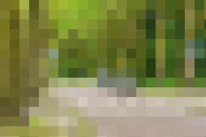Nachtwachtlaan 156 Amsterdam thumbnail 30
