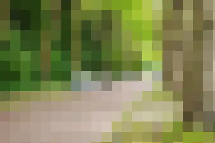 Nachtwachtlaan 156 Amsterdam thumbnail 31