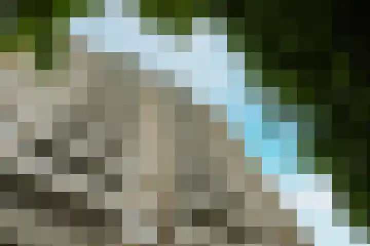 Nachtwachtlaan 156 Amsterdam thumbnail 33