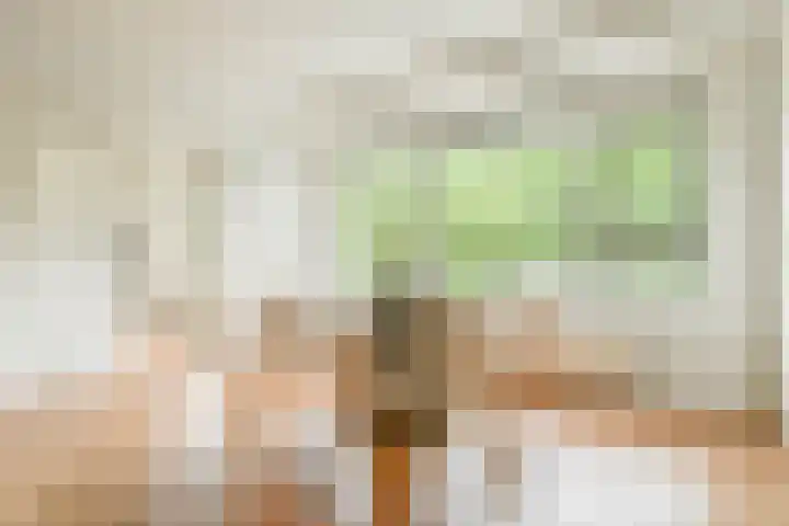 Nachtwachtlaan 156 Amsterdam thumbnail 7