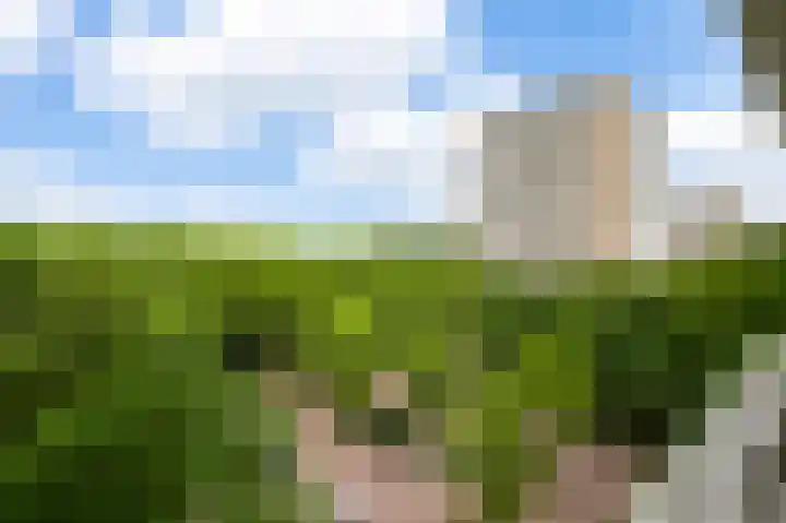 Nachtwachtlaan 160 Amsterdam thumbnail 14