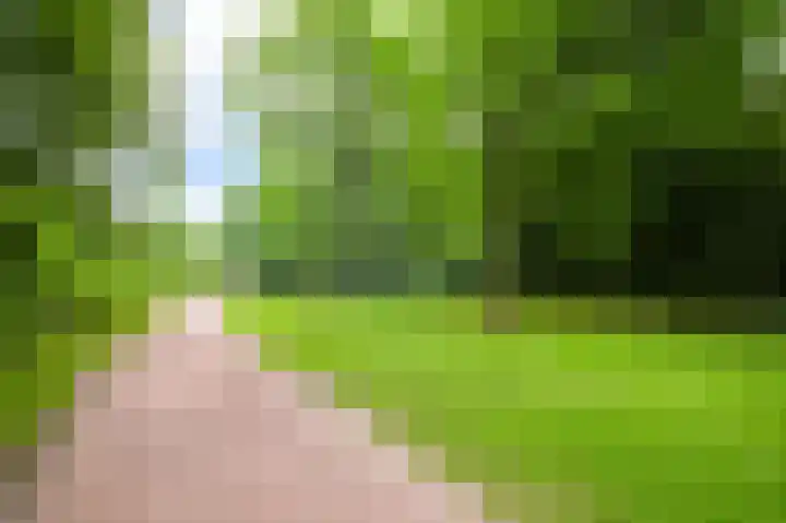 Nachtwachtlaan 160 Amsterdam thumbnail 19