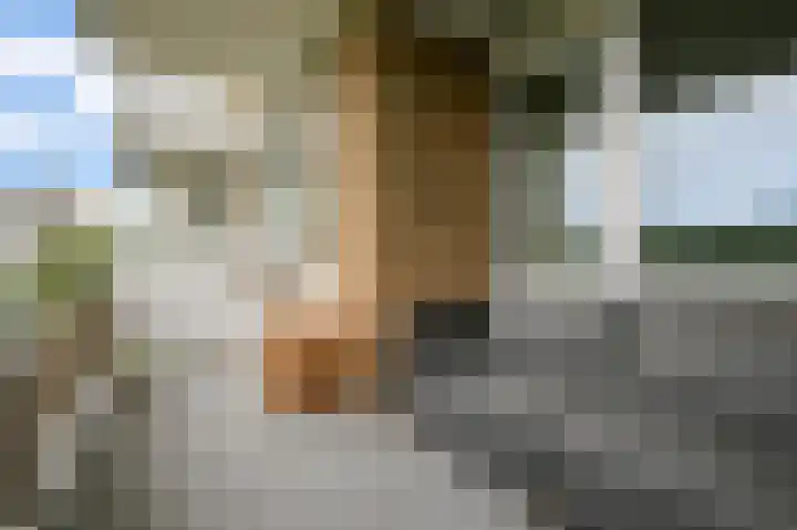 Nachtwachtlaan 160 Amsterdam thumbnail 4