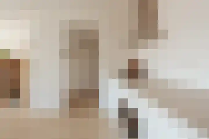 Nachtwachtlaan 169 Amsterdam thumbnail 14