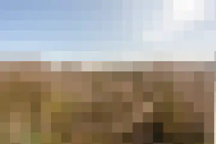 Nachtwachtlaan 169 Amsterdam thumbnail 21