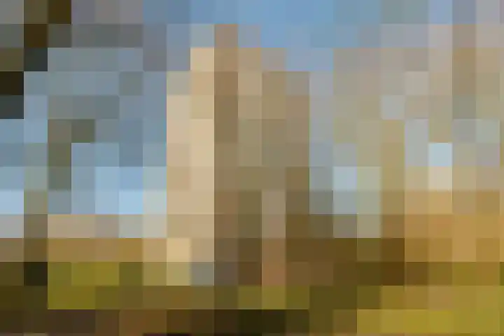 Nachtwachtlaan 169 Amsterdam thumbnail 32