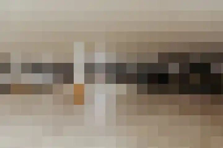 Nachtwachtlaan 169 Amsterdam thumbnail 34