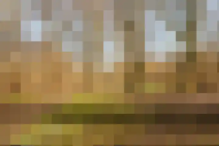 Nachtwachtlaan 169 Amsterdam thumbnail 36