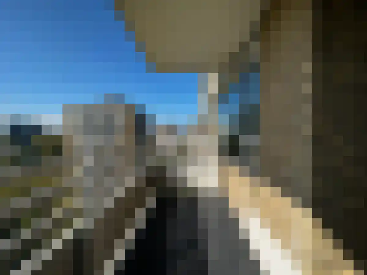 Nachtwachtlaan 201 Amsterdam thumbnail 4