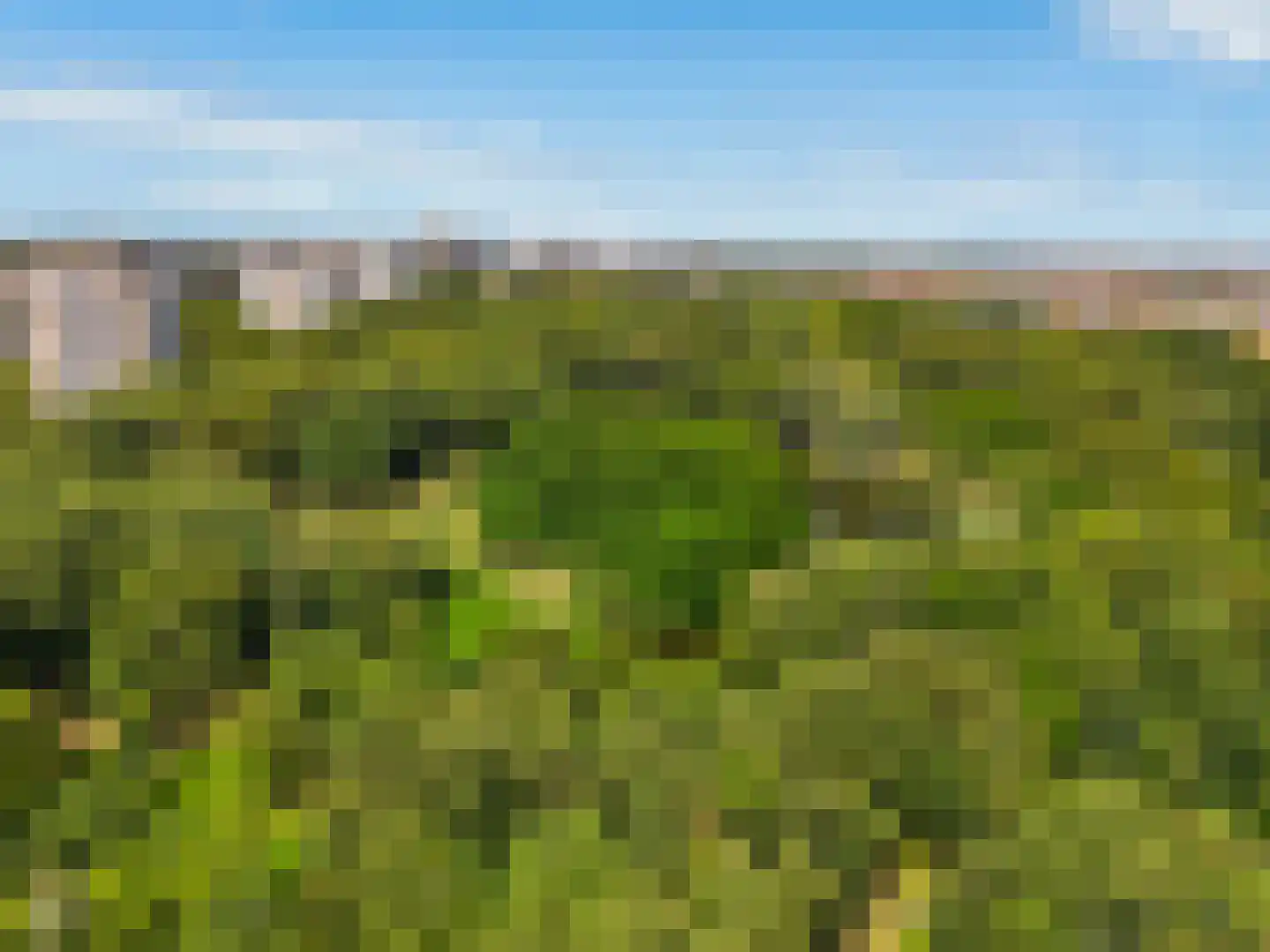 Nachtwachtlaan 206 Amsterdam thumbnail 30