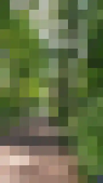 Nachtwachtlaan 206 Amsterdam thumbnail 55