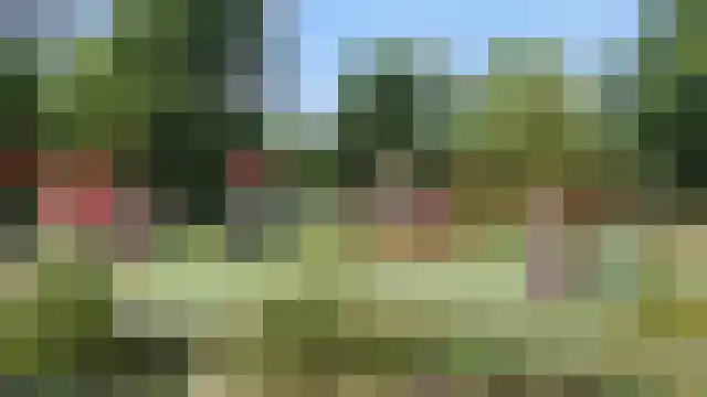 Nachtwachtlaan 206 Amsterdam thumbnail 56