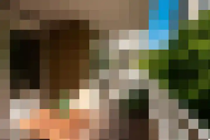 Nachtwachtlaan 241 Amsterdam thumbnail 13
