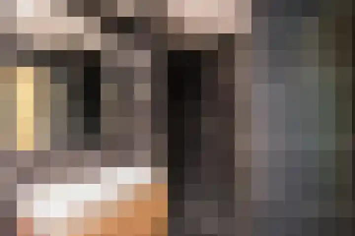 Nachtwachtlaan 241 Amsterdam thumbnail 15