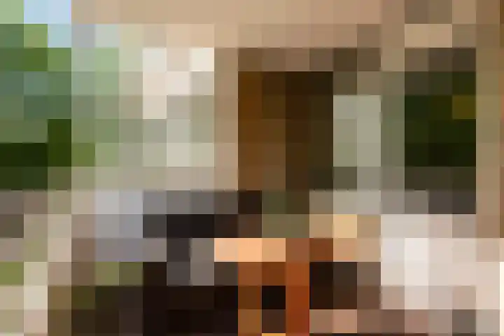 Nachtwachtlaan 241 Amsterdam thumbnail 18