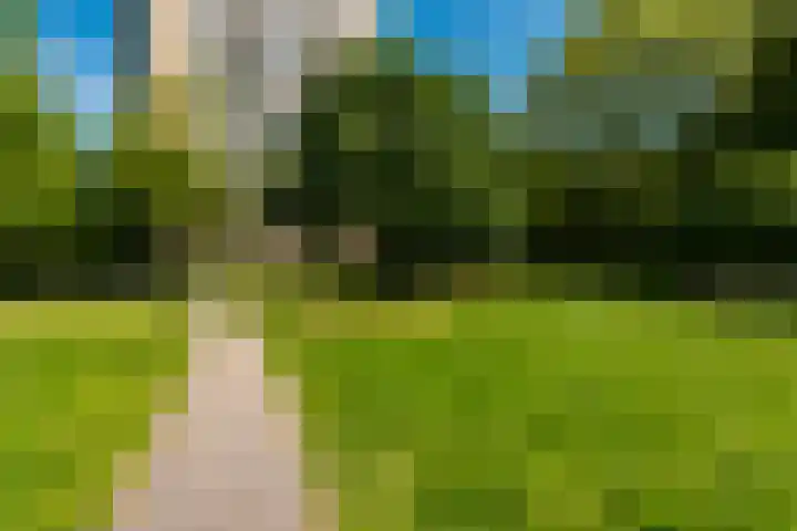Nachtwachtlaan 241 Amsterdam thumbnail 20
