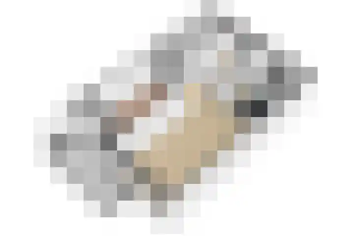 Nachtwachtlaan 241 Amsterdam thumbnail 24