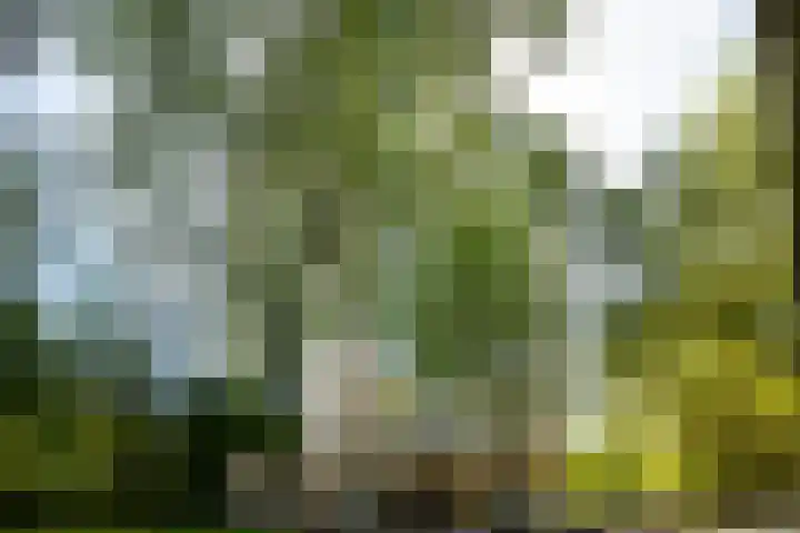 Nachtwachtlaan 241 Amsterdam thumbnail 28