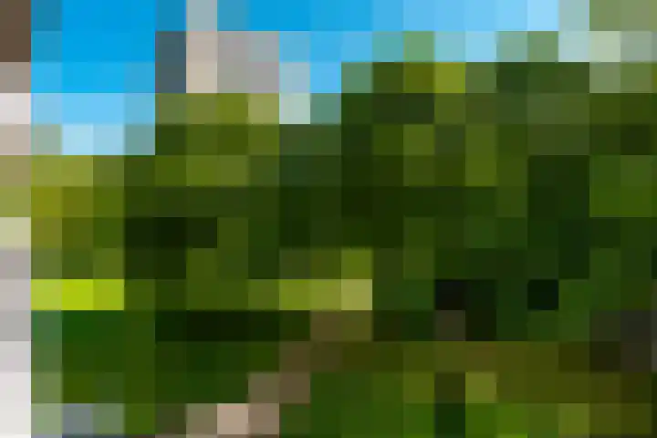 Nachtwachtlaan 241 Amsterdam thumbnail 30