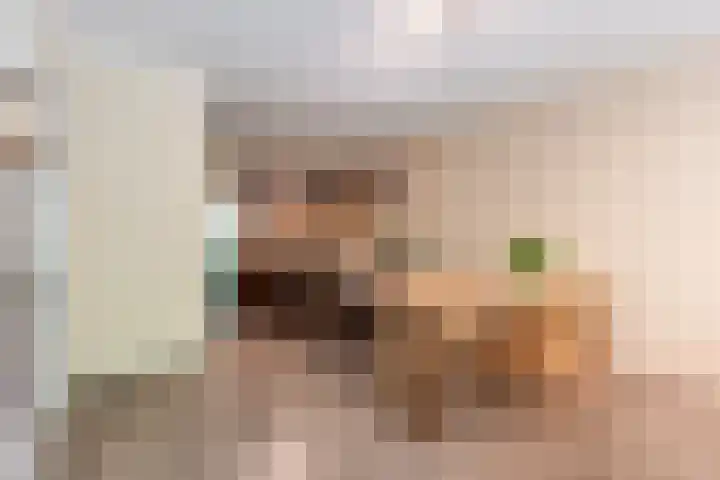 Nachtwachtlaan 241 Amsterdam thumbnail 9