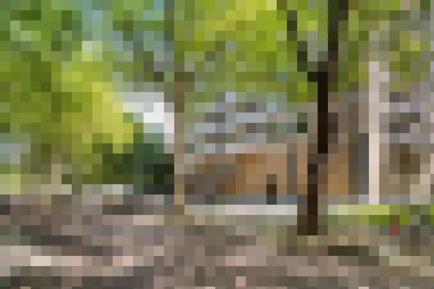 Nachtwachtlaan 246 Amsterdam thumbnail 23