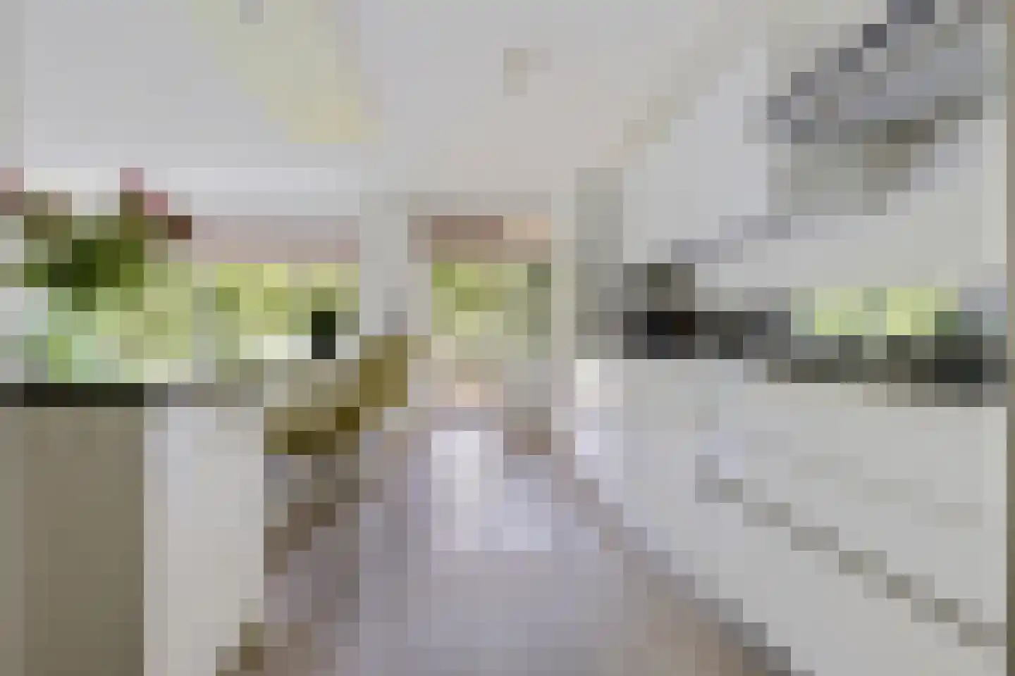 Nachtwachtlaan 246 Amsterdam thumbnail 9