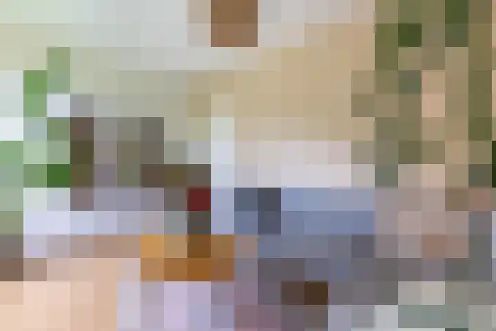 Nachtwachtlaan 252 Amsterdam thumbnail 10