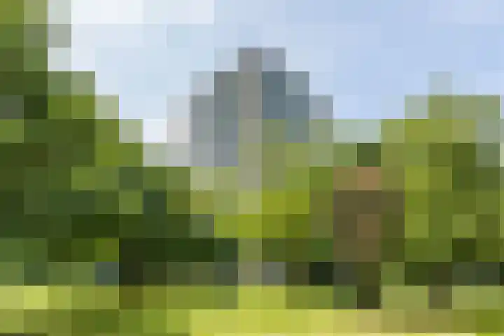 Nachtwachtlaan 252 Amsterdam thumbnail 36