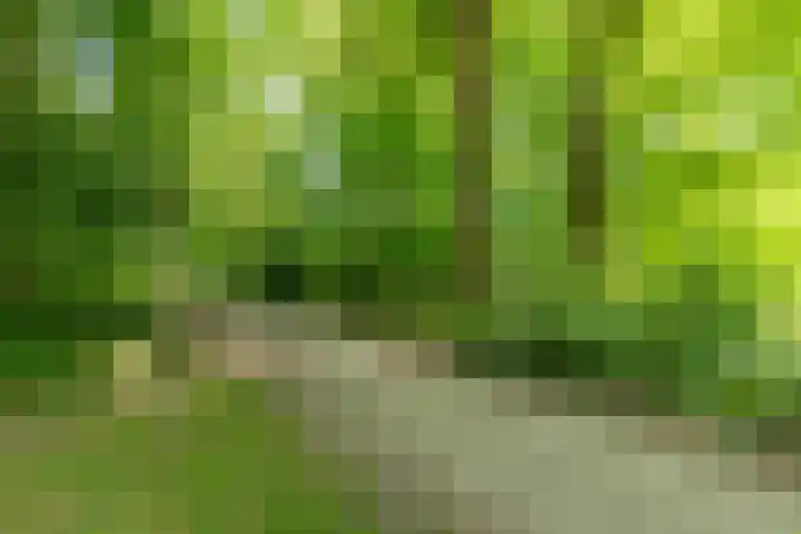 Nachtwachtlaan 252 Amsterdam thumbnail 37