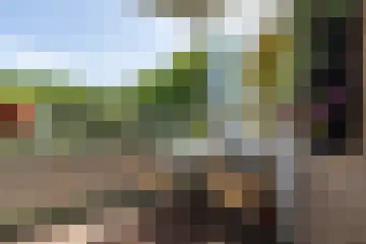 Nachtwachtlaan 252 Amsterdam thumbnail 5