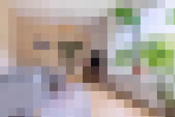 Nachtwachtlaan 252 Amsterdam thumbnail 9