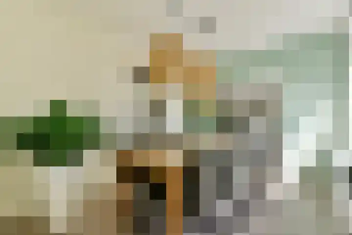 Nachtwachtlaan 261 Amsterdam thumbnail 10