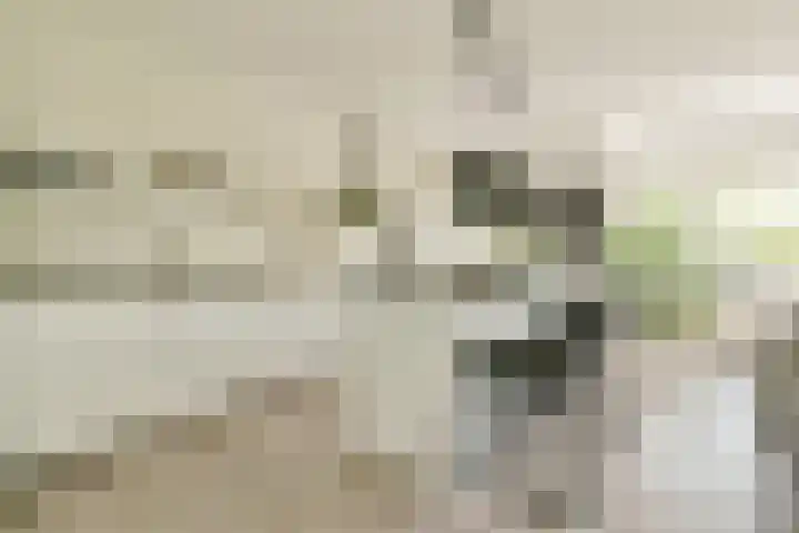 Nachtwachtlaan 261 Amsterdam thumbnail 11