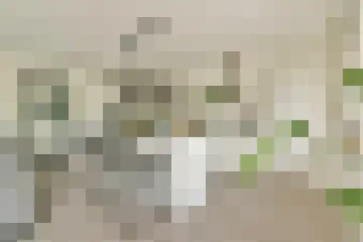 Nachtwachtlaan 261 Amsterdam thumbnail 12