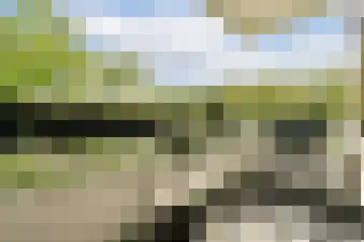 Nachtwachtlaan 261 Amsterdam thumbnail 20
