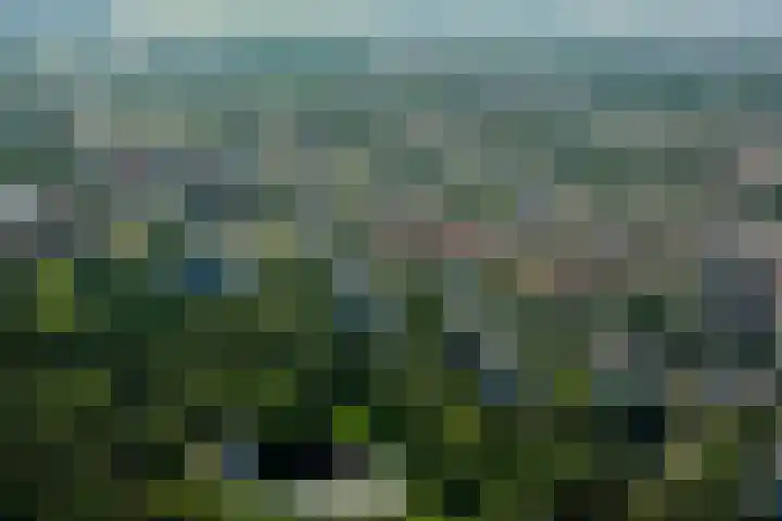 Nachtwachtlaan 261 Amsterdam thumbnail 23