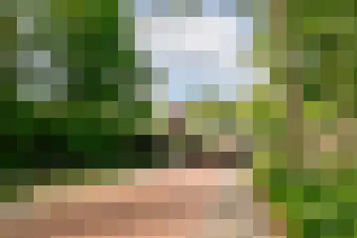 Nachtwachtlaan 261 Amsterdam thumbnail 24