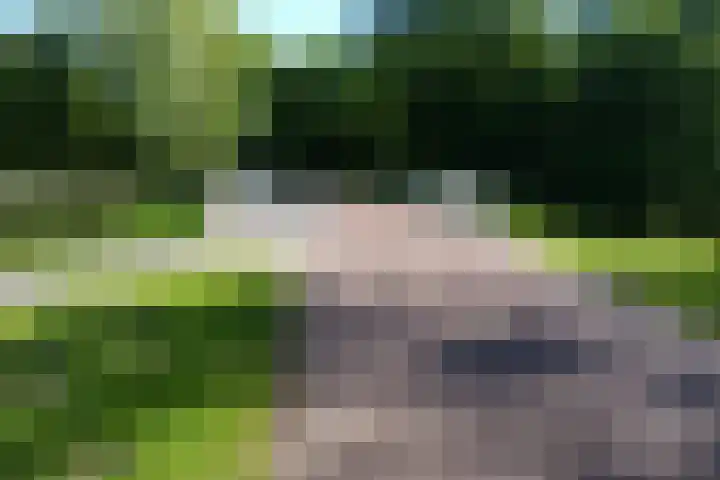 Nachtwachtlaan 261 Amsterdam thumbnail 25