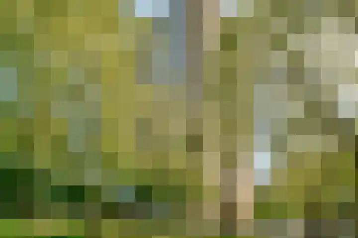 Nachtwachtlaan 261 Amsterdam thumbnail 6