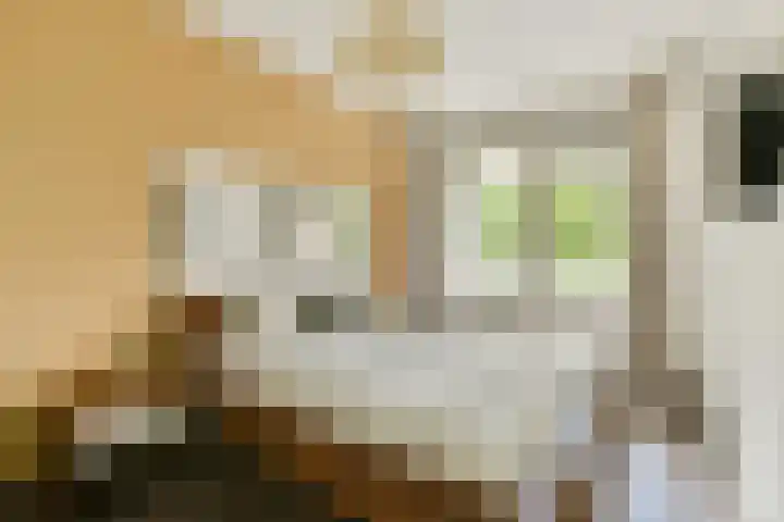 Nachtwachtlaan 262 Amsterdam thumbnail 11