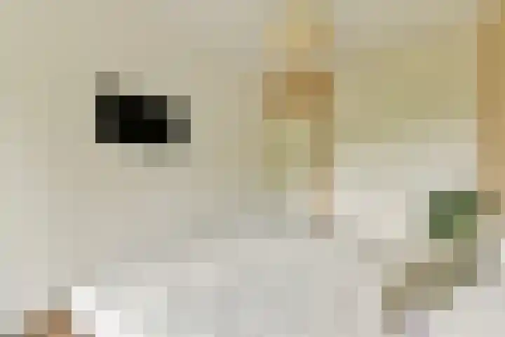 Nachtwachtlaan 262 Amsterdam thumbnail 12